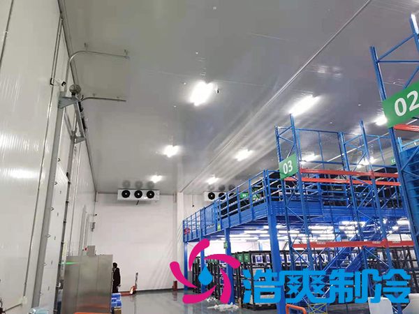  上海1000立方米-18℃生物制品冷冻库建造方案