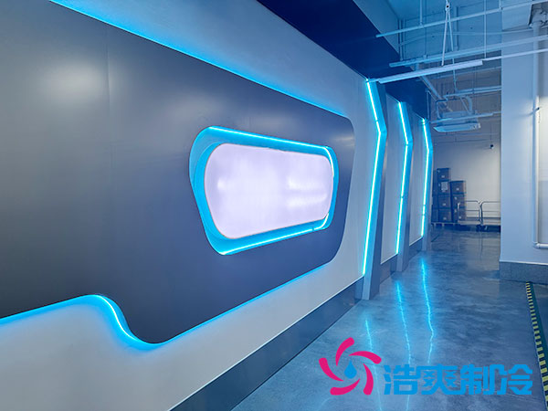  湖南大型智能全自动化医药冷库建造方案