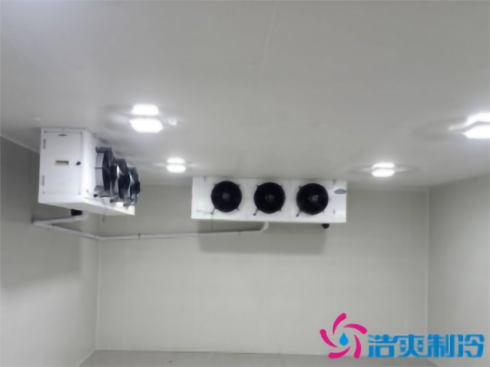  建造一个疫苗冷库需要多少钱？