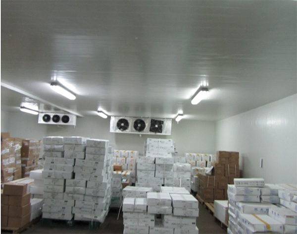 医疗药品冷藏库建造