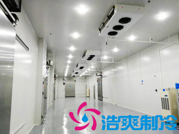 医药冷库设计安装标准及其节能降耗方式