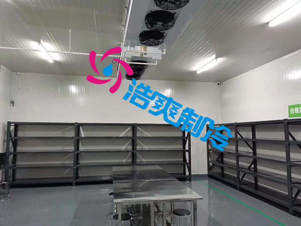 上海1000立方米-18℃生物制品冷冻库建造方案