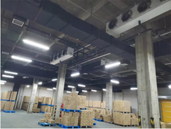 福建省医药公司建造2100m³医药物流冷藏库需要花费多少钱？
