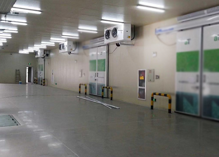 深圳康泰生物制品医药冷藏库建造工程