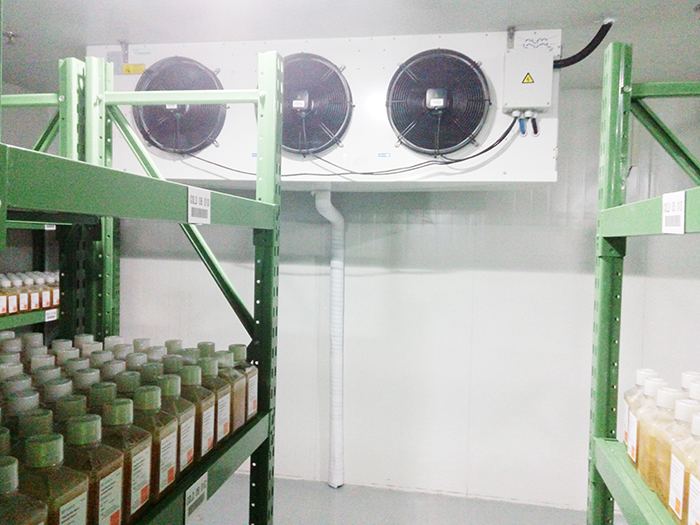 浙江修正药业医药冷库(药品冷库)建造工程