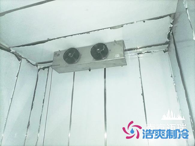 迈瑞南京生物2~8℃医用试剂冷库建造工程案例