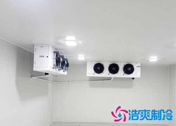  2022新版试剂类医药冷冻库建造厂家