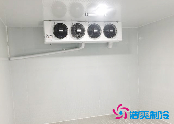 小型医药疫苗冷库安装厂家