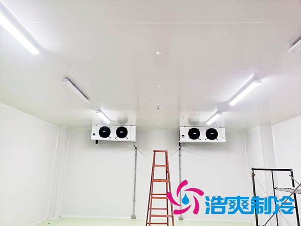 医药冻库设计安装要求及施工方案