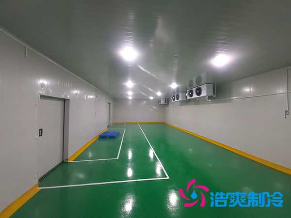 莱芜医院阴凉库多少钱？