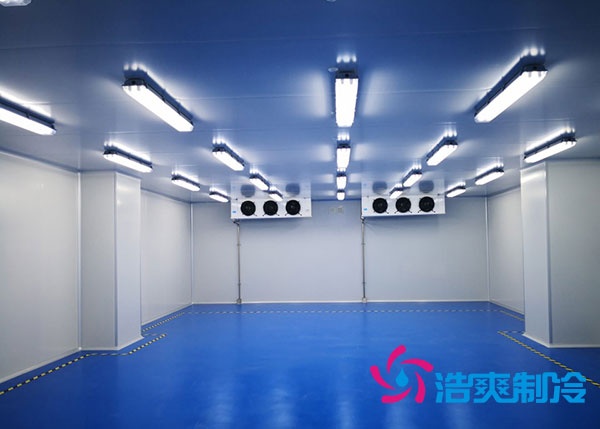 建一个制药厂冷库大概需要投资多少钱