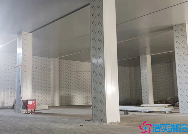  省疾控医药冷库建设标准