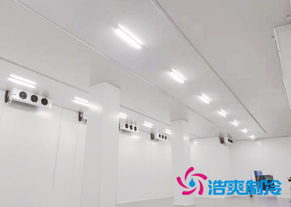  成都疫苗洁净车间设计