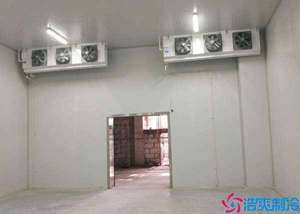  庆阳中型血浆冷库设计建造