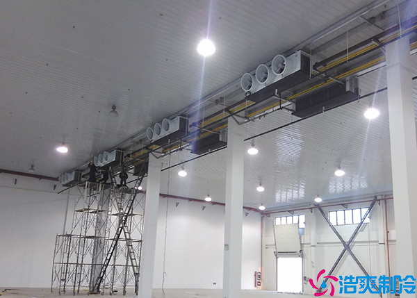 乌鲁木齐血浆冷库设计建造