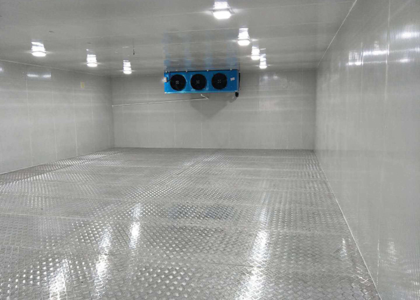 血液制品存储冷库建设项目方案