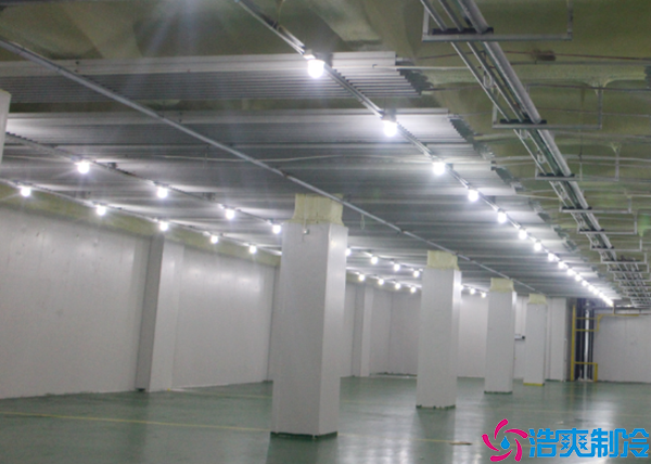  江西医药冷冻库工程设计施工方案