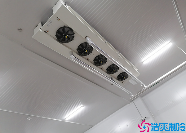  湘西大型医药冷库建设费用估算