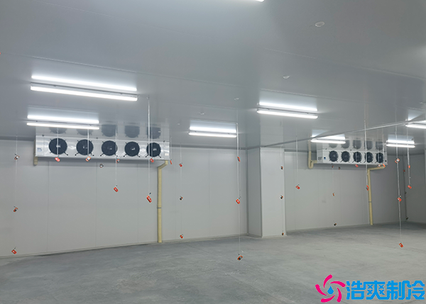  辽宁医药冷库建造