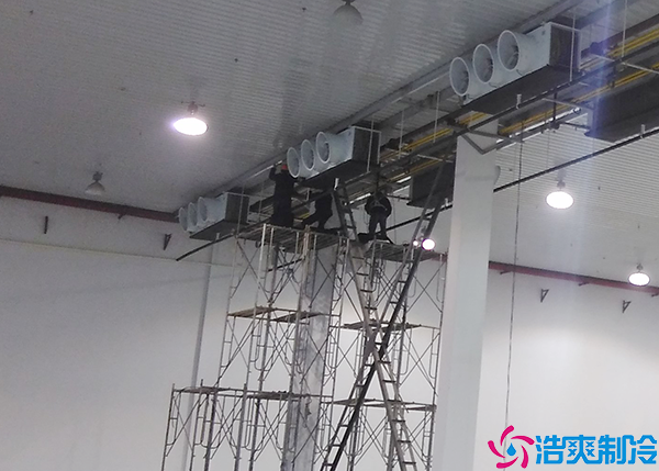  医疗冷库建设