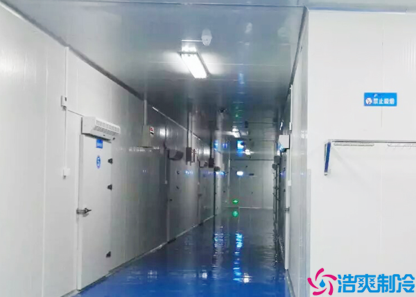  医药冷冻库建造公司
