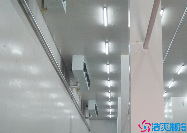  广东药品冷库建造公司