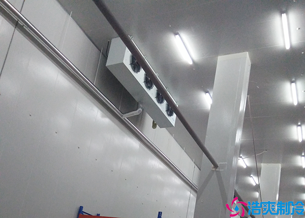  600立方医疗医用冷库建造价格是多少？