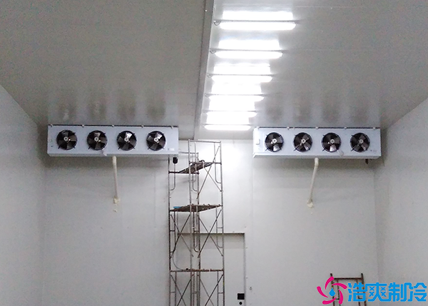  100立方医疗冷库建设费用及要素