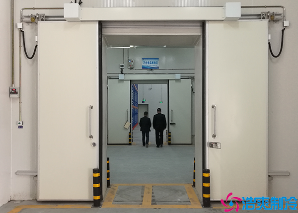  湘西800立方医药冷库建造成本多少钱？