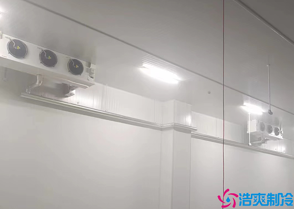  张家界药品冷藏冷库施工项目有哪些内容？