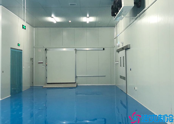  600立方制药车间冷库建造成本多少钱？