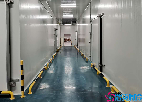  广东医药冷冻库批发市场