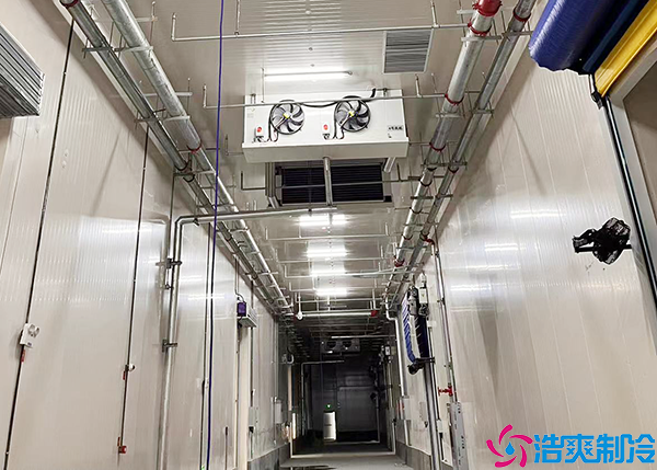 制药车间冷库