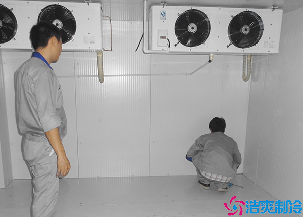 医药冷冻库
