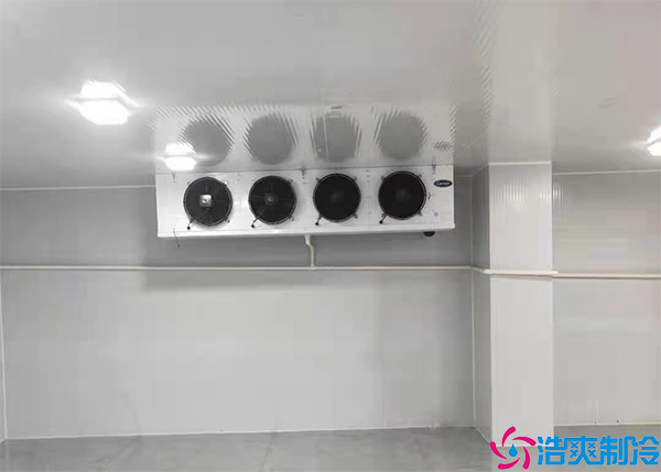小型医药冷库