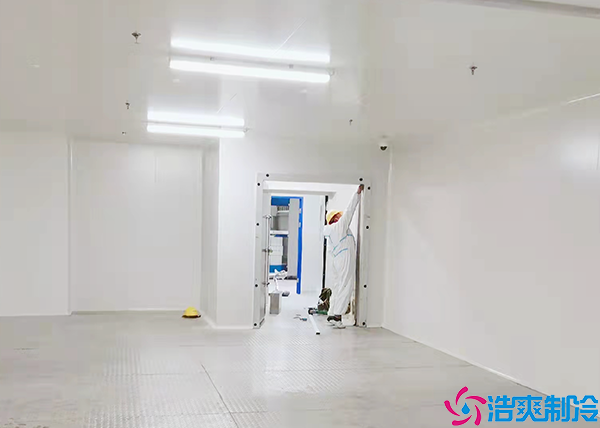 医药冷冻库