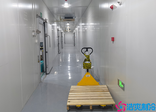  保定小型医药冷库的质量管理与监督措施