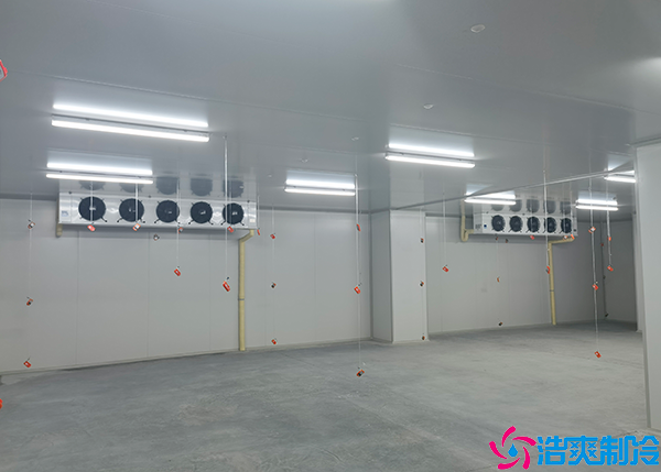  随州大型药品冷库建造厂家