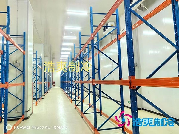 300m³血浆试剂冷藏库的建造
