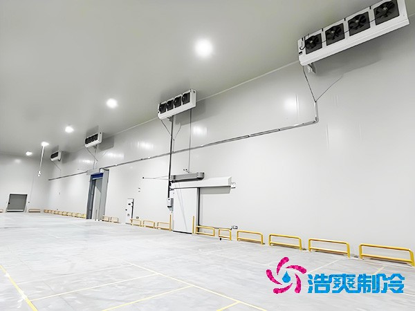 建设大型医药疫苗冷库的设计规范与要求