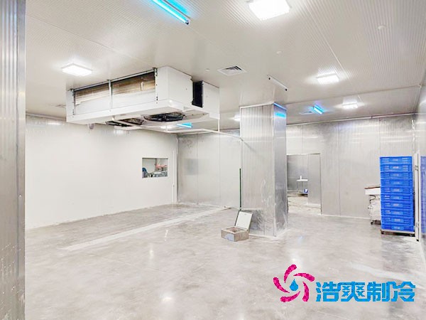 建设大型医药疫苗冷库的设计规范与要求