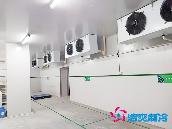 医用生物制品冷库造价