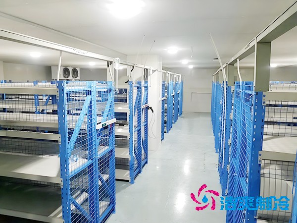 医药冷库建造