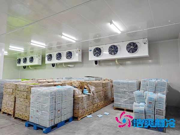 智能医药冷库安装方案与造价概览
