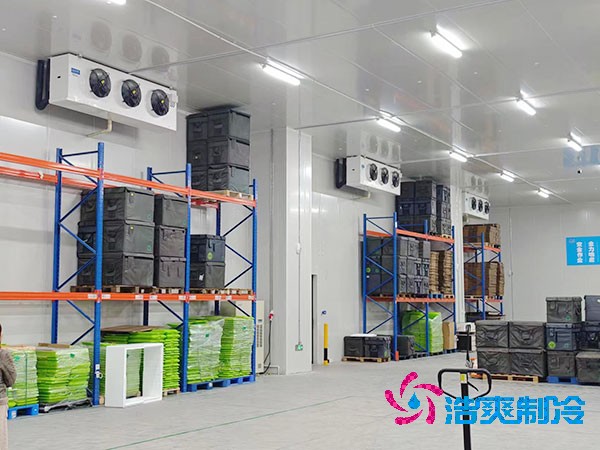  智能医药冷库安装方案与造价概览