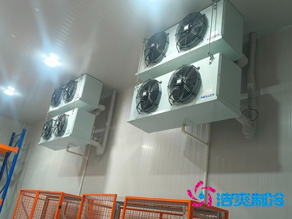 医药冷库建造标准全解析