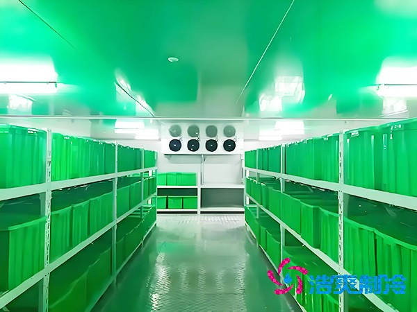 三级医院建设医用耗材冷库面积标准