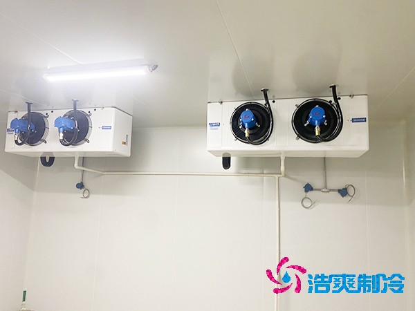 上海建设医药冷库造价费用大概多少钱？