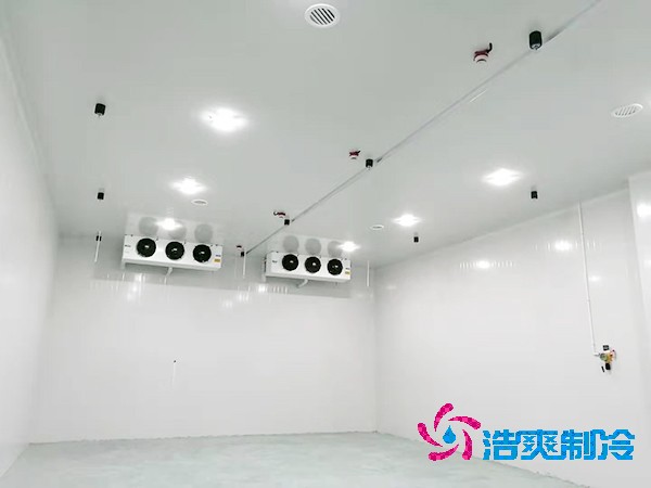 医药冷库建造指南及造价解析
