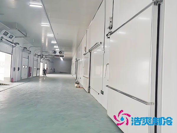 800立方医药冷库造价